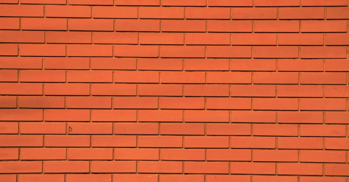 Is there pattern to stack lasagna? - Orange Concrete Wall