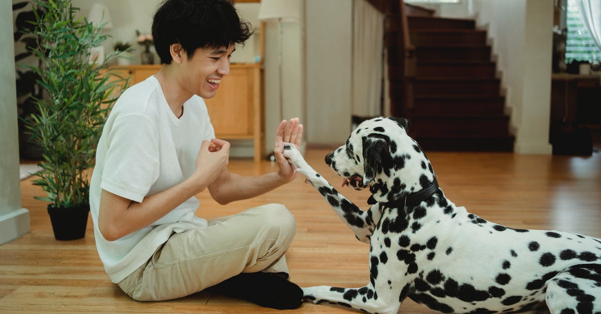 Is there some trick to vacuum sealing broccoli? - Man in White Crew Neck T-shirt and Brown Pants Sitting Beside Dalmatian Dog