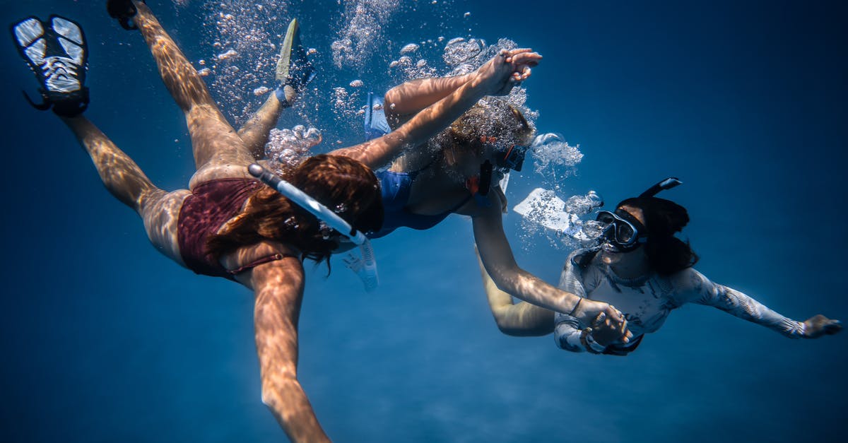 Is there something special about bubbly water? - Group of young people with special equipment enjoying time together underwater  with bubbles of oxygen