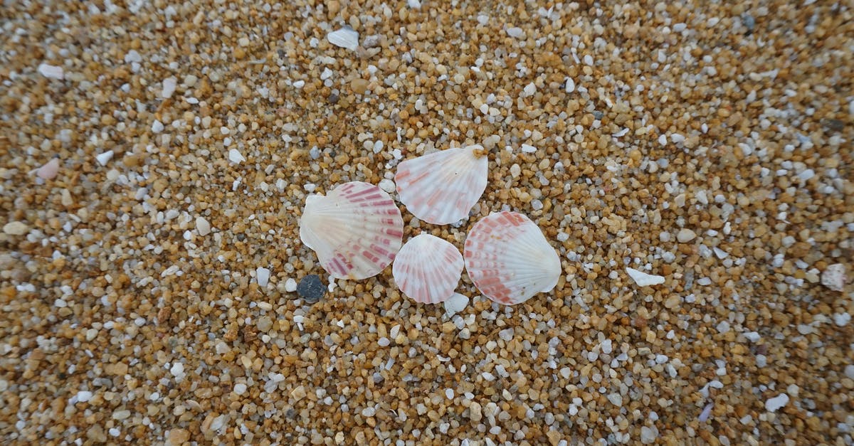 Is there something wrong with this scallop residue? - Shells On Shore