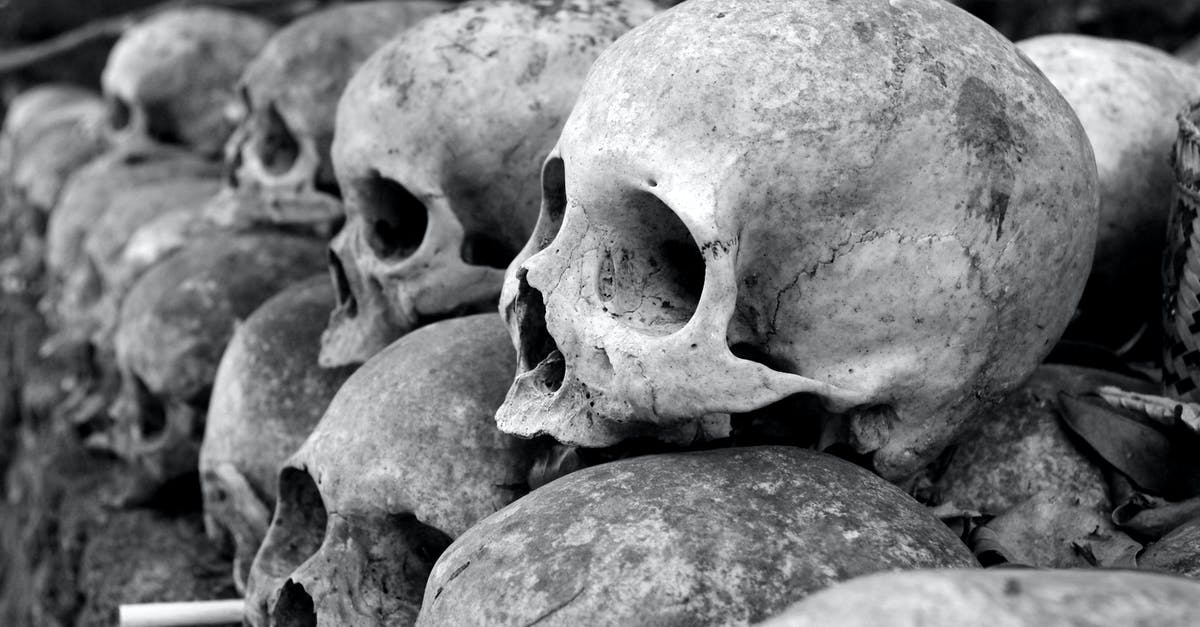 Is there such a thing as a bone cleaver? - Grey Skulls Piled on Ground