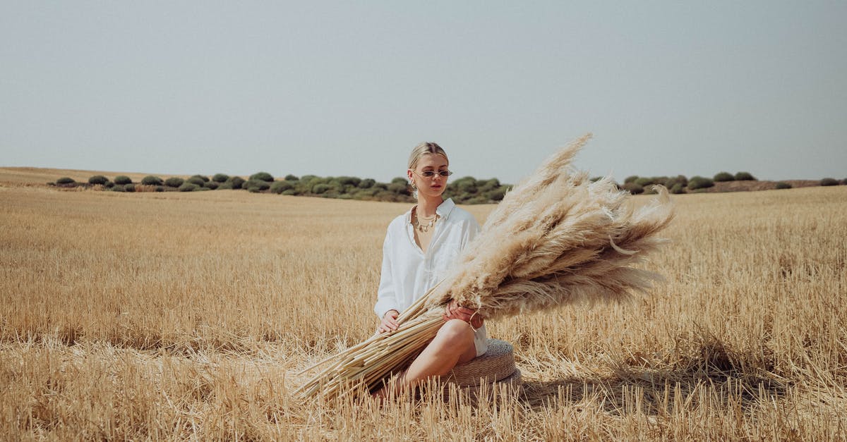 Is there such thing as white wheat berries? - Full body of female in sunglasses wearing white shirt sitting in rural field with ears of wheat in hands in nature