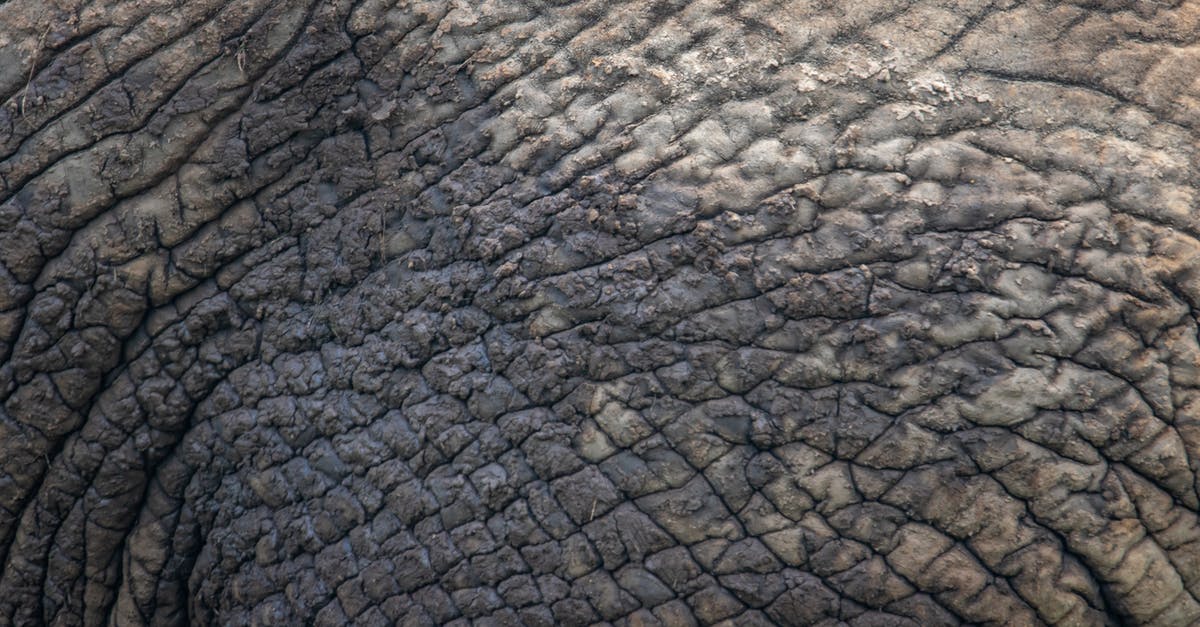 Is thick fruit skin safe to be eaten? [closed] - Close-Up Photo of an Elephant's Skin