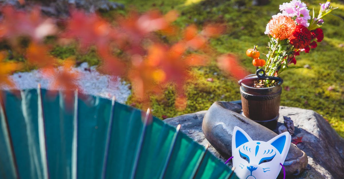 Is tomato foliage edible? - Japanese umbrella near lawn and boulder with kitsune mask