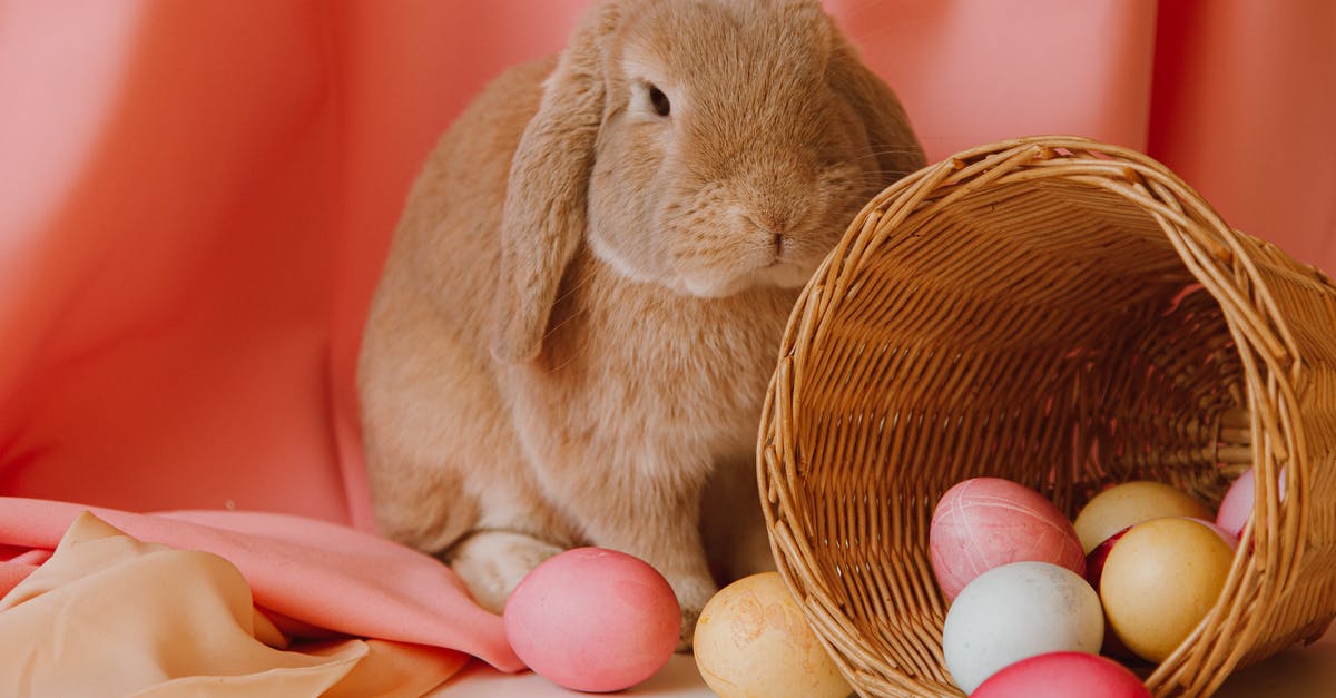 Italian Sausage still a little pink? - Colored Eggs In A Basket Beside A Bunny