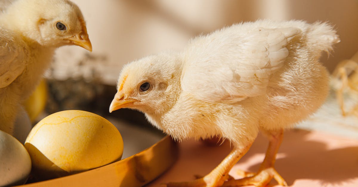 Italian Sausage still a little pink? - Two Chicks Beside Eggs