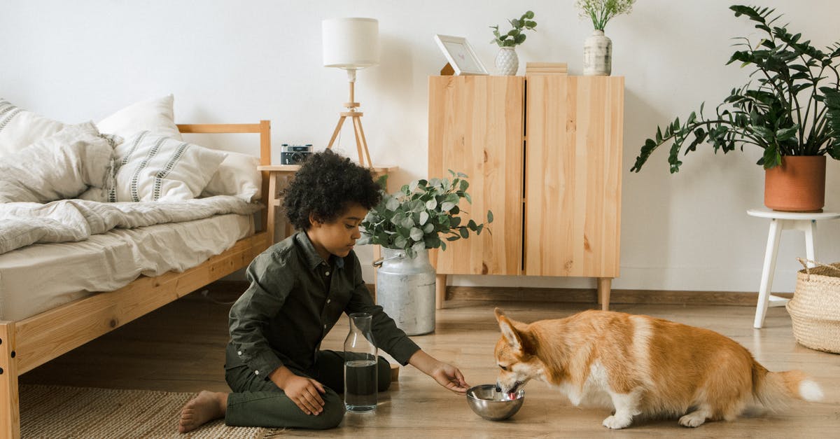 Kefir sensitivity to drinking tap water? - Boy Giving Water to Dog