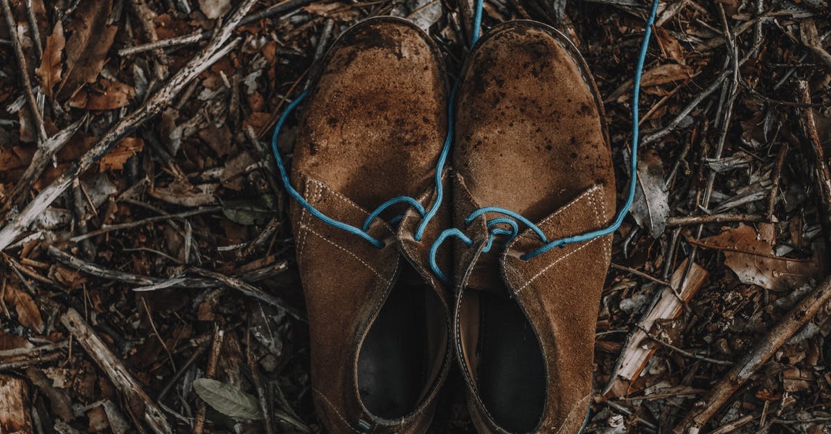 Leather flavour - Brown Leather Shoes on Brown Dried Leaves