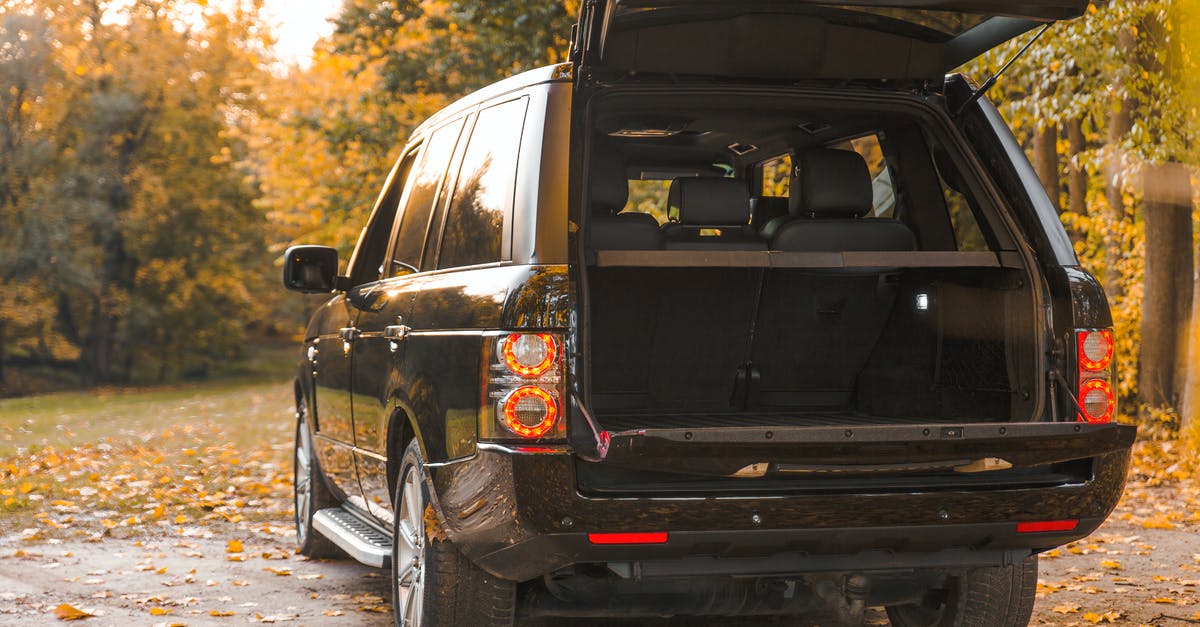 Leaves that fall off Brussels Sprouts, any reason not to cook? - Black Car Parked on Off Road