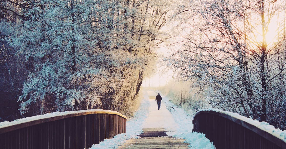 Leaving out Frozen Tilapia [duplicate] - Man Walking Beyond Bridge