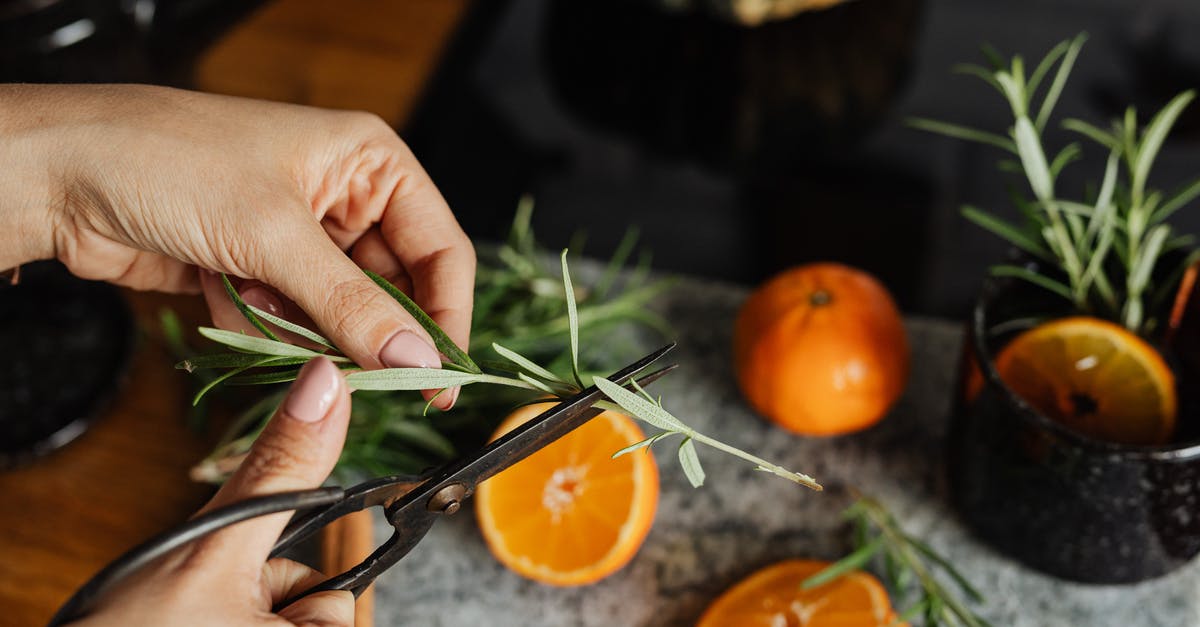 Local special ingredients on Cape Cod [closed] - A Person Preparing Food