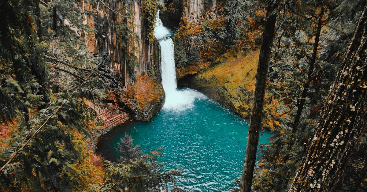 Loose-leaf tea: specifics of re-steeping multiple times? - time-lapse Photo Of Water Falls in the Forest