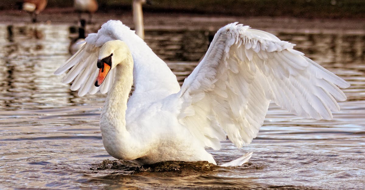 Make pate easier to spread - White Swan