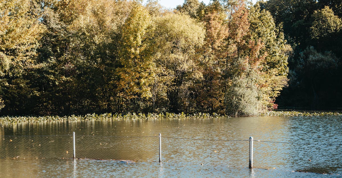 Mascarpone left outside fridge overnight - still usable? - Calm pond with pillars in nature