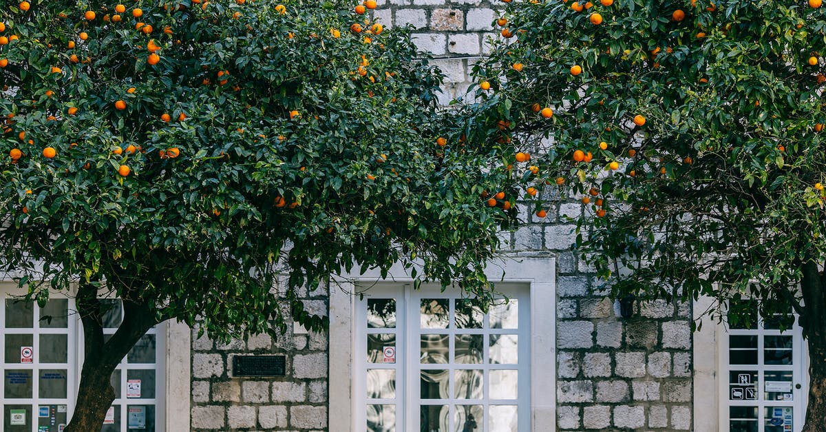 Mimicking Lipton's Green Diet Iced Tea Citrus - Lush green trees near wall