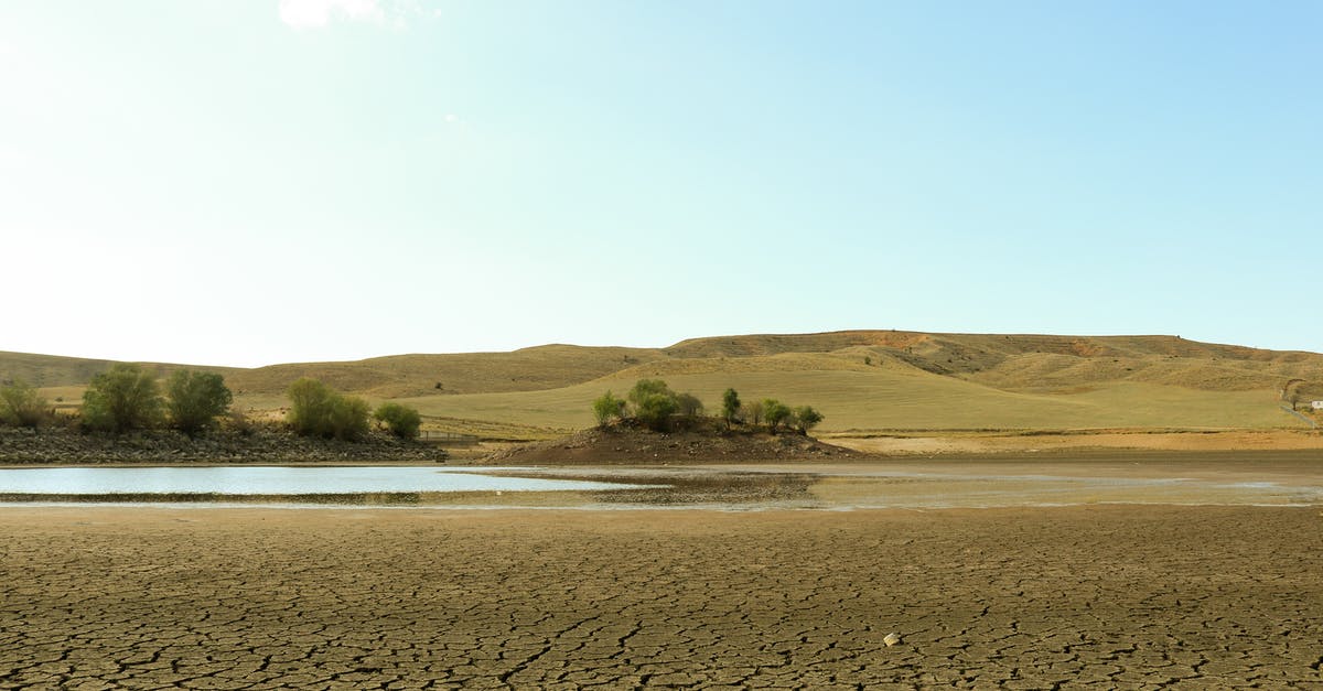 Mold or dry sourdough starter? (pic included) - Free stock photo of beach, dawn, desert