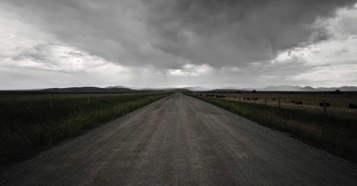 My brownies are flat - Gray Road Between Green Grass Under Gray Clouds