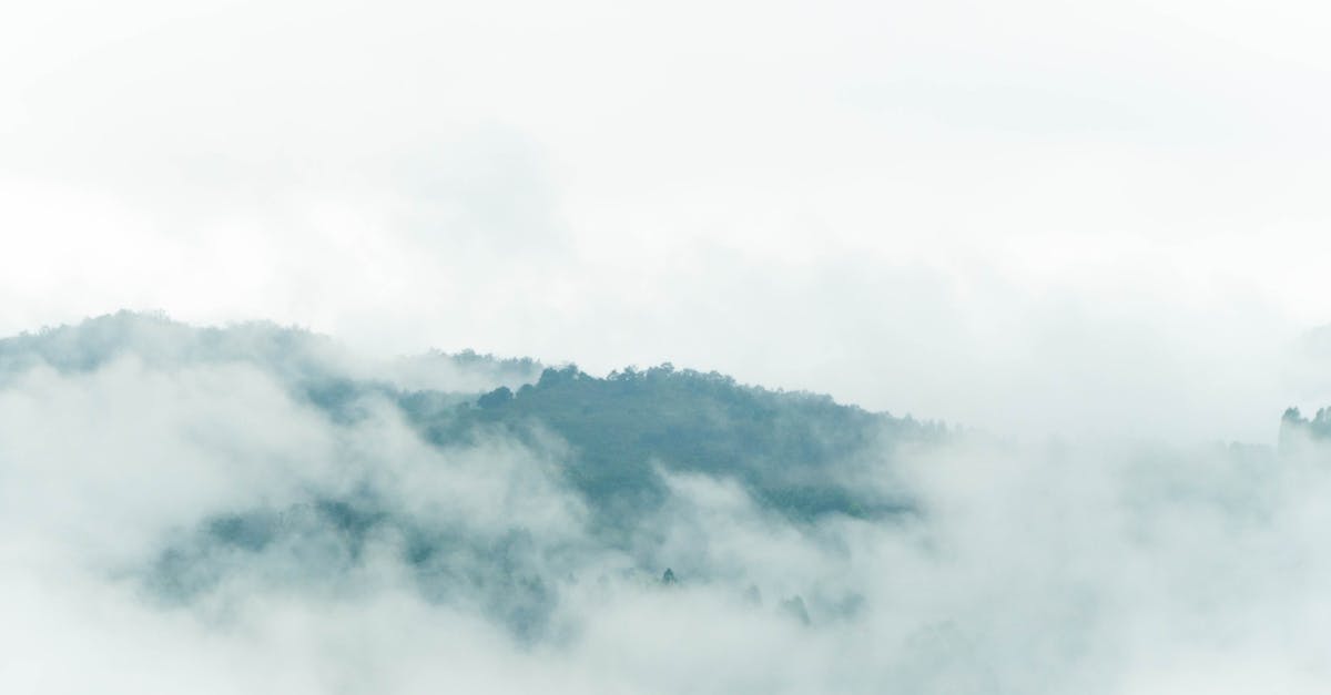 My chutney is too thick - White Clouds over Green Trees