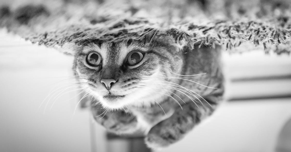 My KitchenAid mixer head will not lock in the down position. How can I rectify this? - Close-up of Cat My KitchenAid mixer head will not lock in the down position. How can I rectify this? - Close-up of Cat