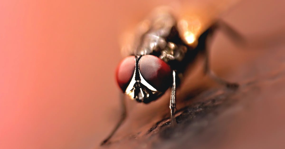 My red potatoes seem to have an unusually high amount of eyes. Should I cut them out? - Close-up Photography of Brown Wasp My red potatoes seem to have an unusually high amount of eyes. Should I cut them out? - Close-up Photography of Brown Wasp