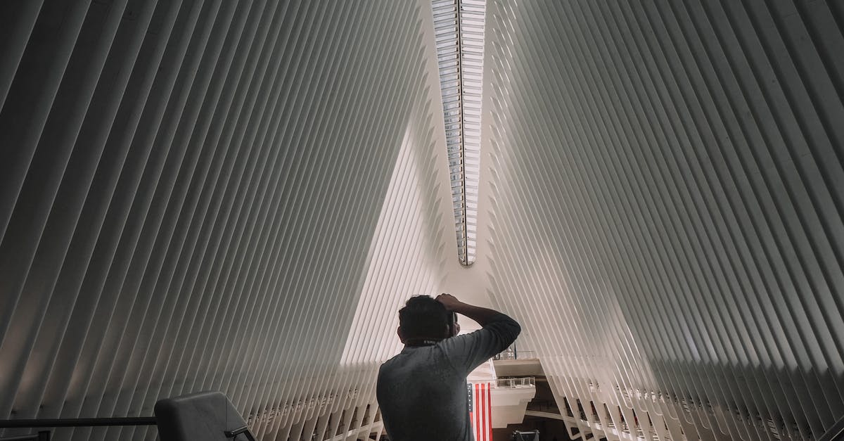 New York style pizza dough - Back view of unrecognizable man standing and taking photo of contemporary World Trade Center Transportation Hub located in New York