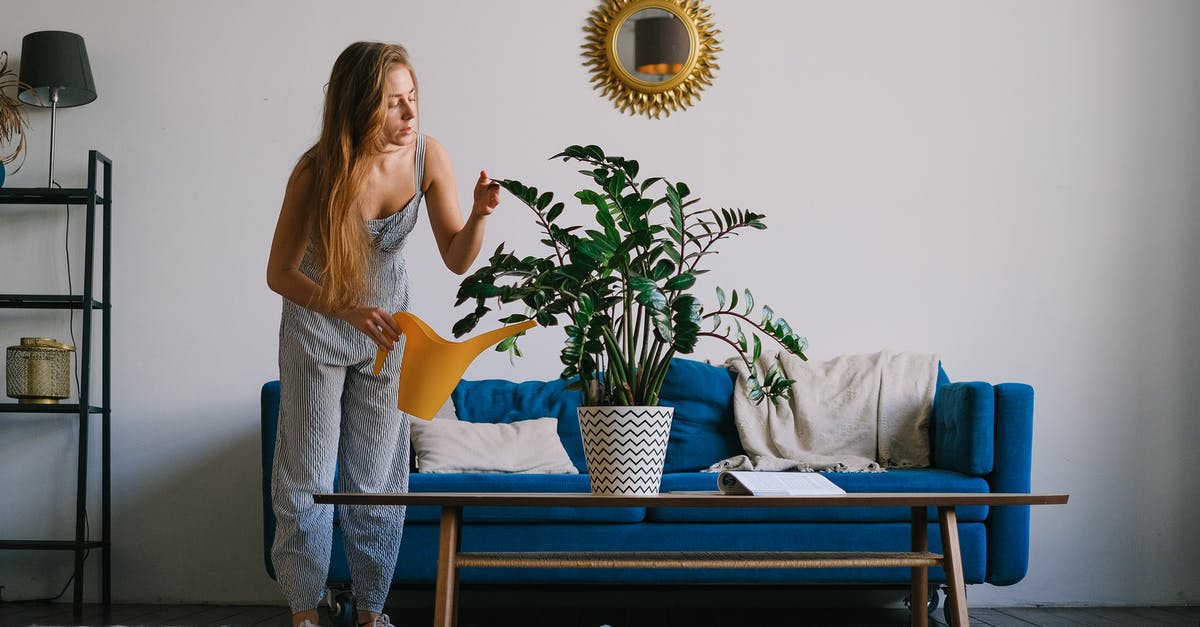 No water in the Crock pot - Full body of lady standing at couch while watering plant in pot with can on table at home