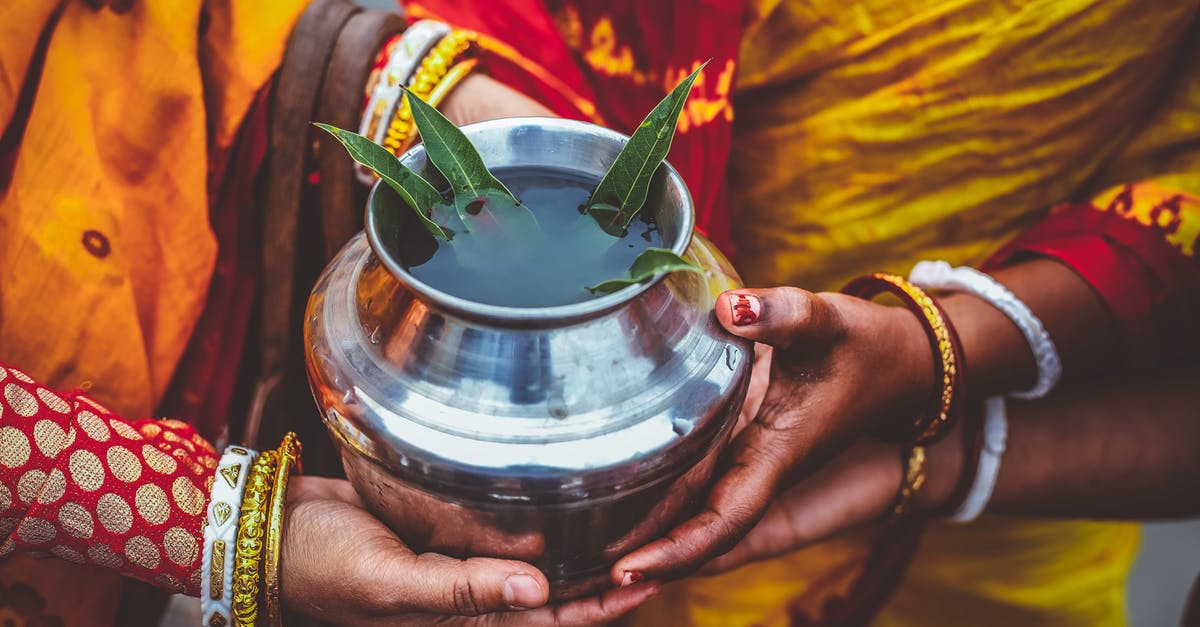 No water in the Crock pot - People Holding Silver Metal Pot