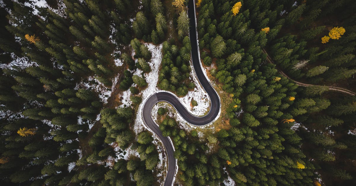 Non-fat way of preventing legumes from frothing during canning - Bird's Eye View Of Roadway Surrounded By Trees