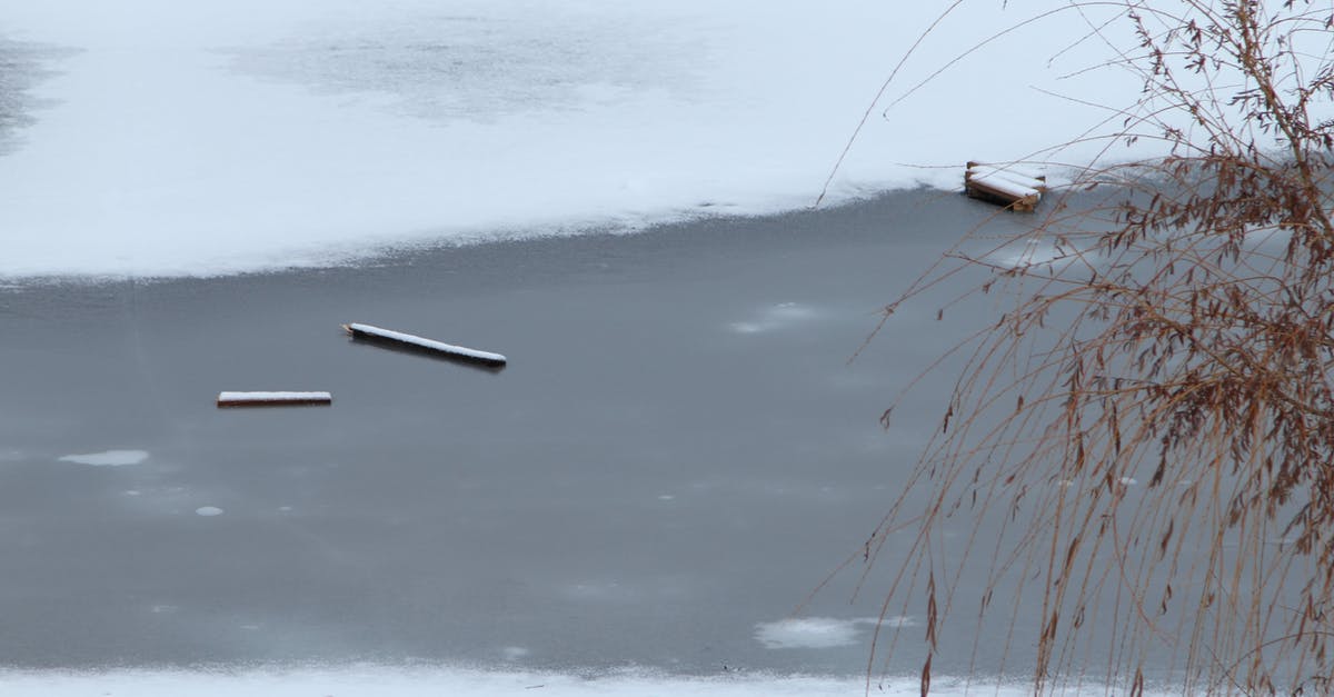 Nutrient impact of squeezing water out of frozen chopped spinach - View of a Frozen River