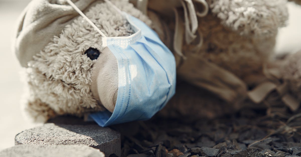 Old frozen ground lamb - safe to eat? [duplicate] - Cute plush toy in scarf and medical mask placed on ground near small sharp pebbles in street at daytime