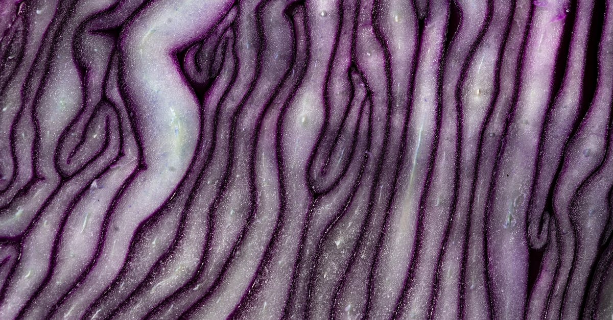 Other ways to preserve red cabbage [closed] - Red Cabbage in Close Up Photography