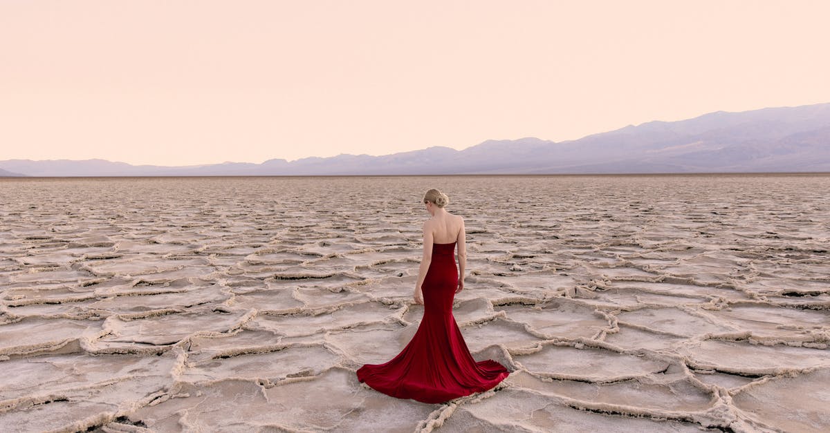 Over salted kimchi - Woman in a Red Dress in a Desert