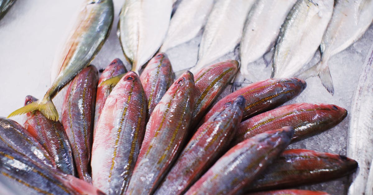 Overnight storing of raw fish - Assorted fresh fish placed on counter