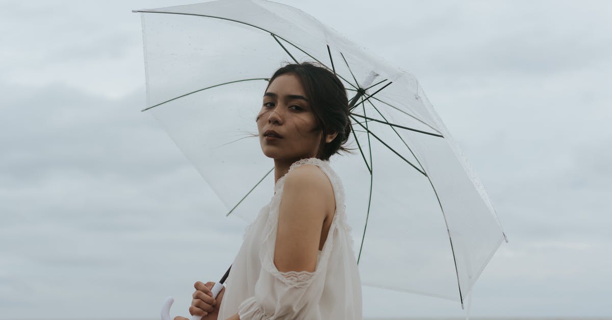 Panda Express style Chow Mein - Photo Of Woman Holding Umbrella