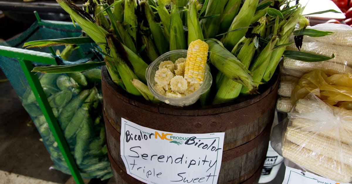 Par-Cooking Corn on the Cob in a Microwave - Serendipity Triple Sweet Corns Inside Barrel