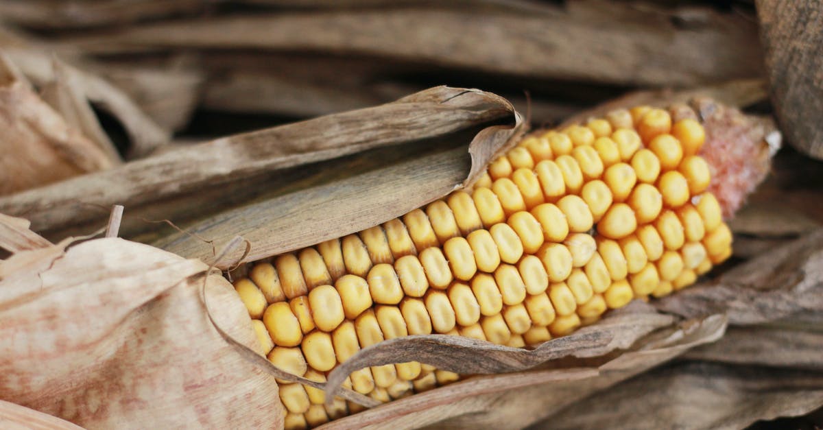 Par-Cooking Corn on the Cob in a Microwave - Close-up of a Corn Cob