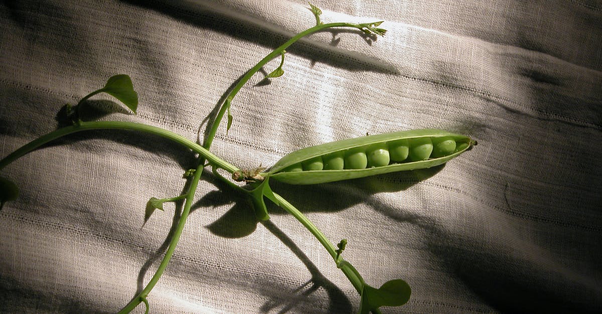 Peas with onions - Green Plant on Gray Textile