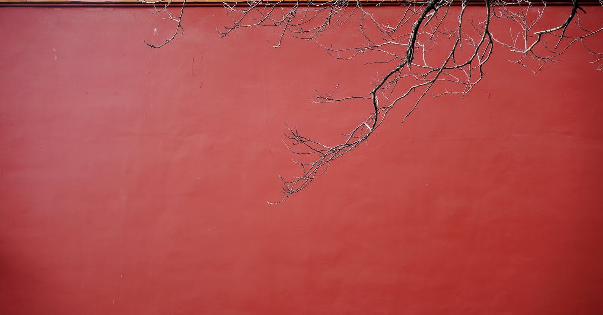 Peeling a Drumstick - Red Wall of a Building