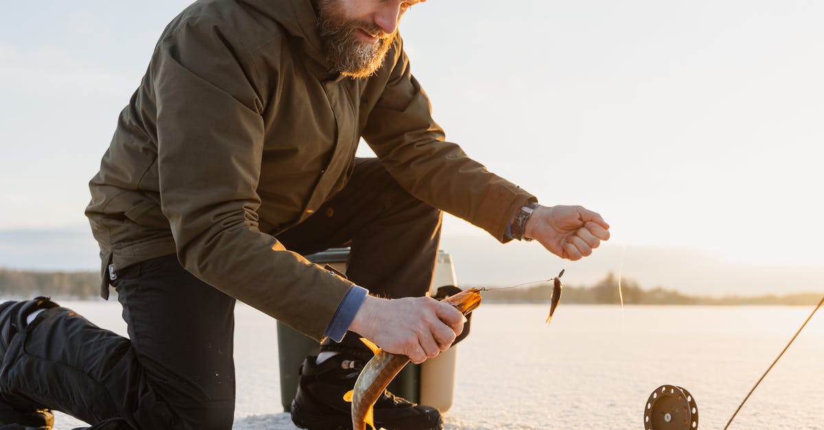 Pickling Frozen Fish - A Man Holding a Fish