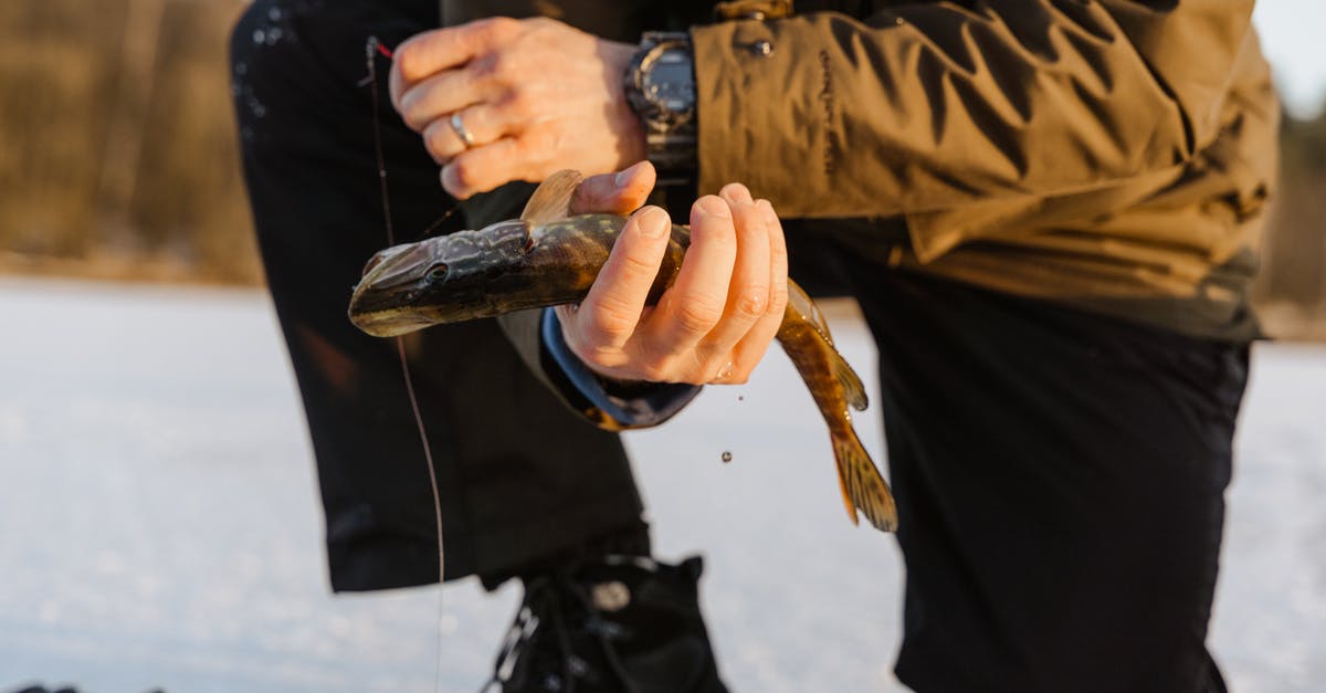 Pickling Frozen Fish - A Man Holding a Fish