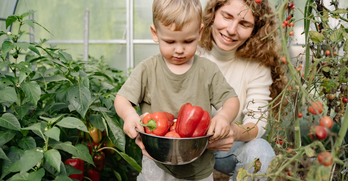 Pickling Peppers - Girl in White Crew Neck T-shirt Holding Red Tomato