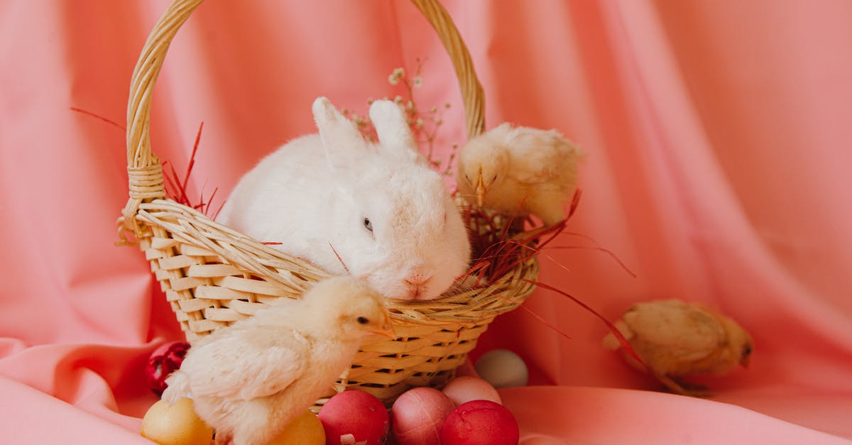 Pink Rabbit Blancmange origin? - White Rabbit on Brown Woven Basket