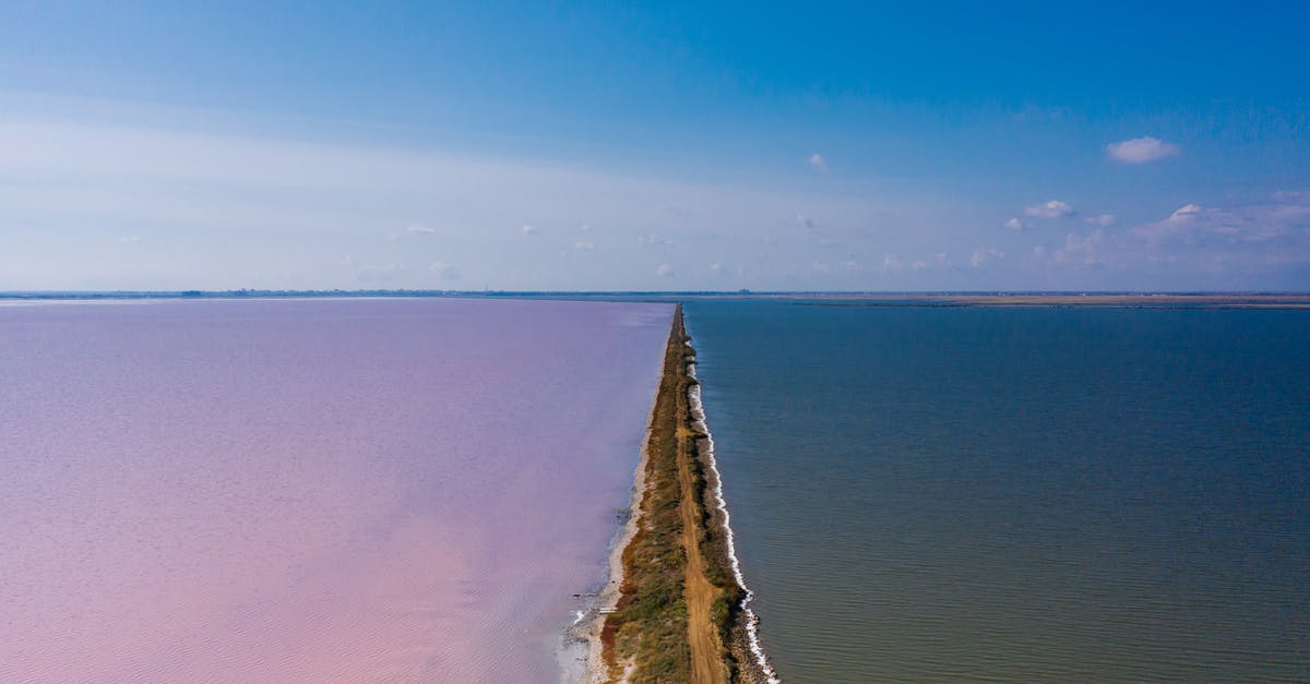 Pink Tinted Quinoa - Free stock photo of abstract, aerial, art