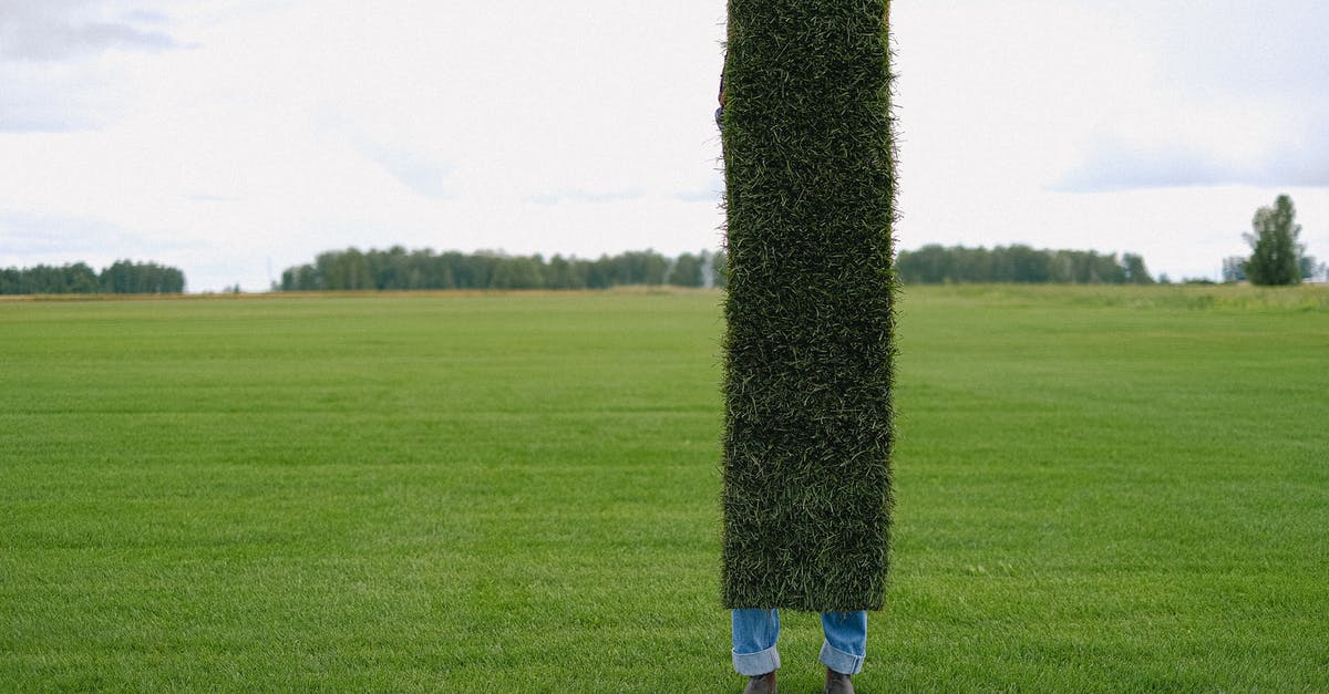 Poppy seeds tough after a long simmer - Unrecognizable farmer with grass lawn