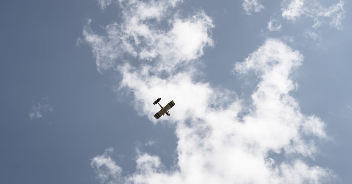 Pork chops: low and slow or high and fast? - From below of airplane with wings flying high in air on sky with white clouds during flight on sunny day