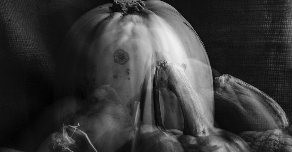 Possible Pumpkin Flavors - Black and white double exposure of assorted types of pumpkins placed on textile in room during harvest season in countryside