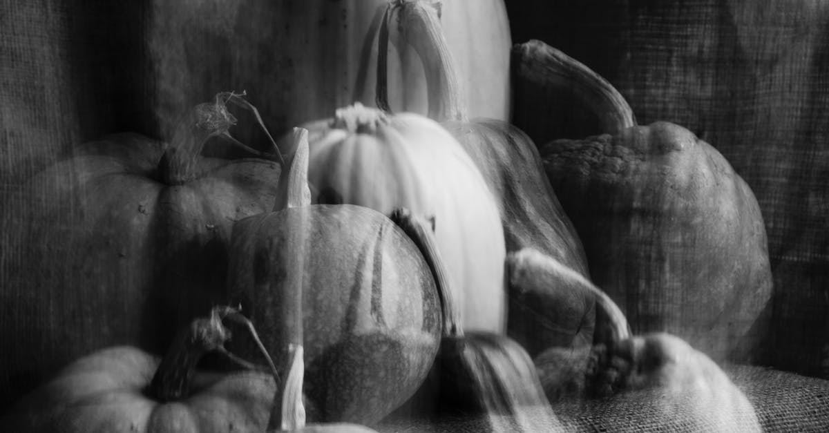 Possible Pumpkin Flavors - Black and white double exposure heap of fresh pumpkins with tails in different sizes placed on textile during harvest season