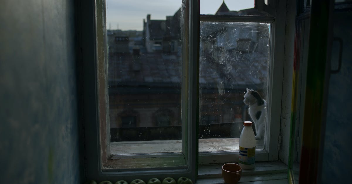 Preserving small amounts of milk - Cat and apples on windowsill in morning