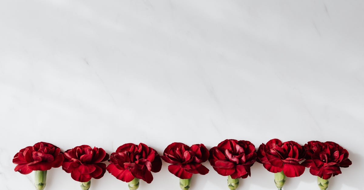 Propane grill leaking from valve stem - Top view of delicate wine red carnations in row on white marble table in soft daylight