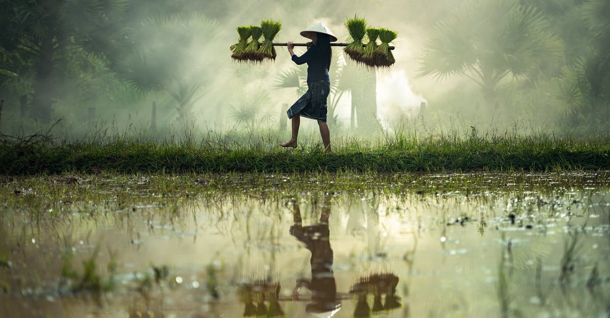 Proper ratio of Water to Rice - Man in Water